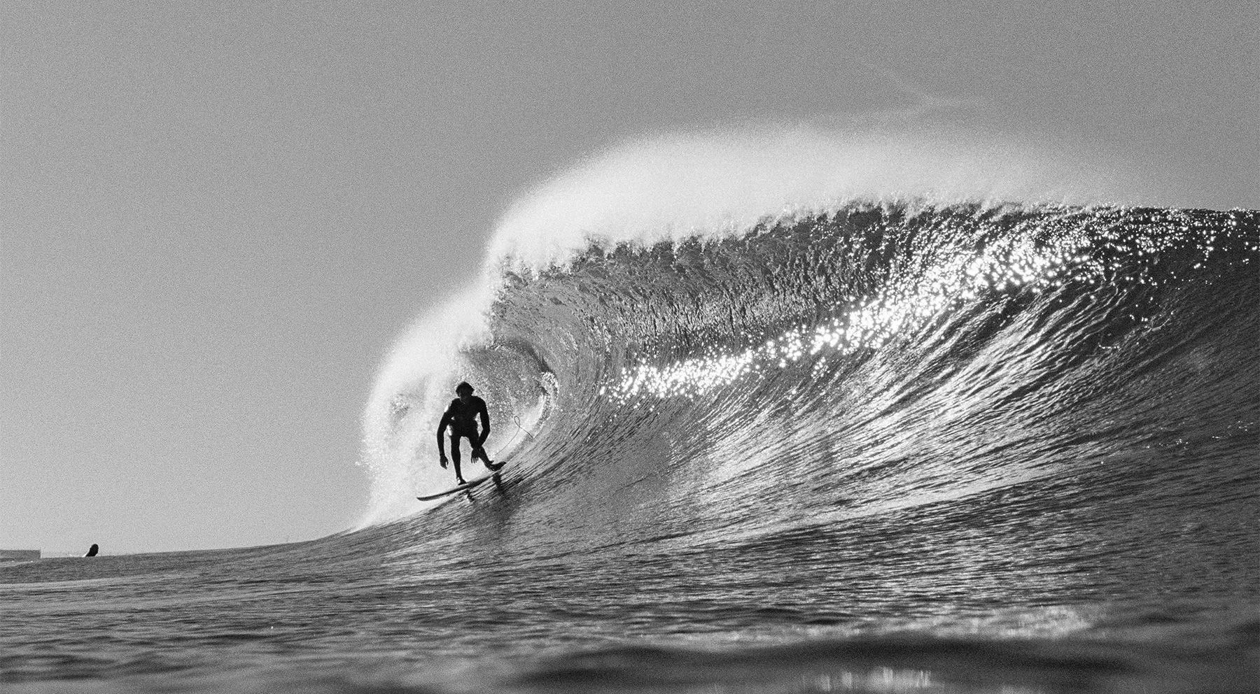 Black and white barrel main article image.